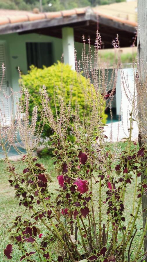 Pousada Recanto Verde クーニャ エクステリア 写真
